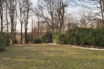 ansteys_garden